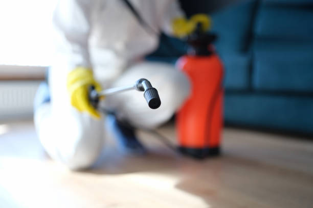 Mold Remediation for Rental Properties in Spearfish, SD